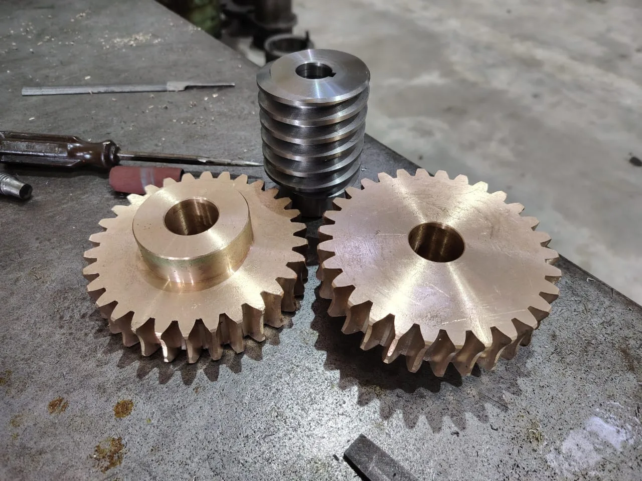 Worm Gear & Worm Screw