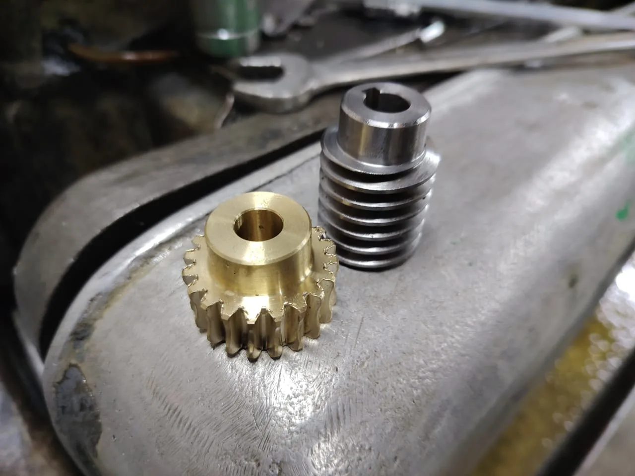 Worm Gear & Worm Screw