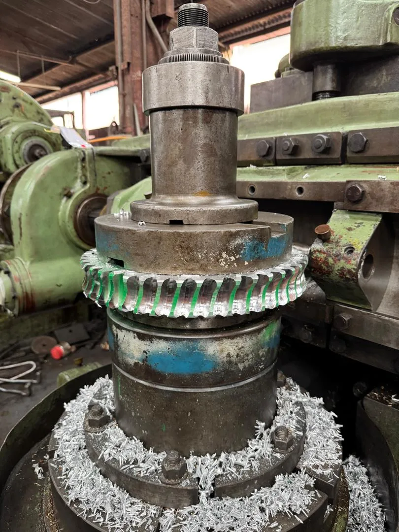 Worm Gear & Worm Screw