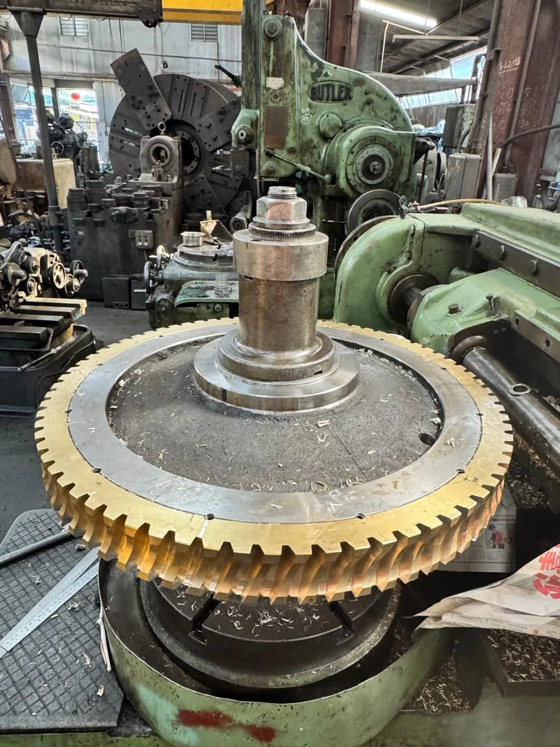 Worm Gear & Worm Screw