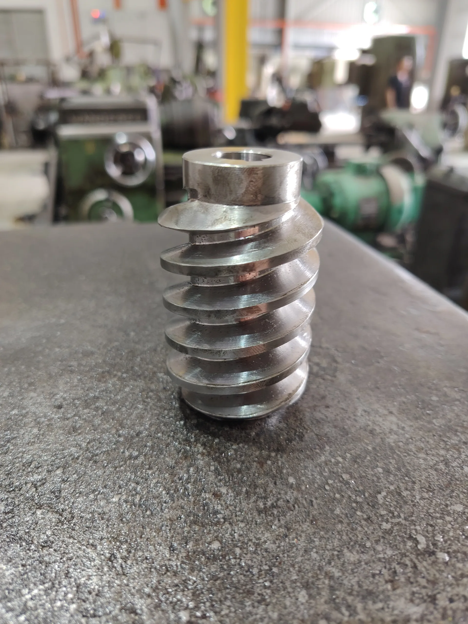 Worm Gear & Worm Screw