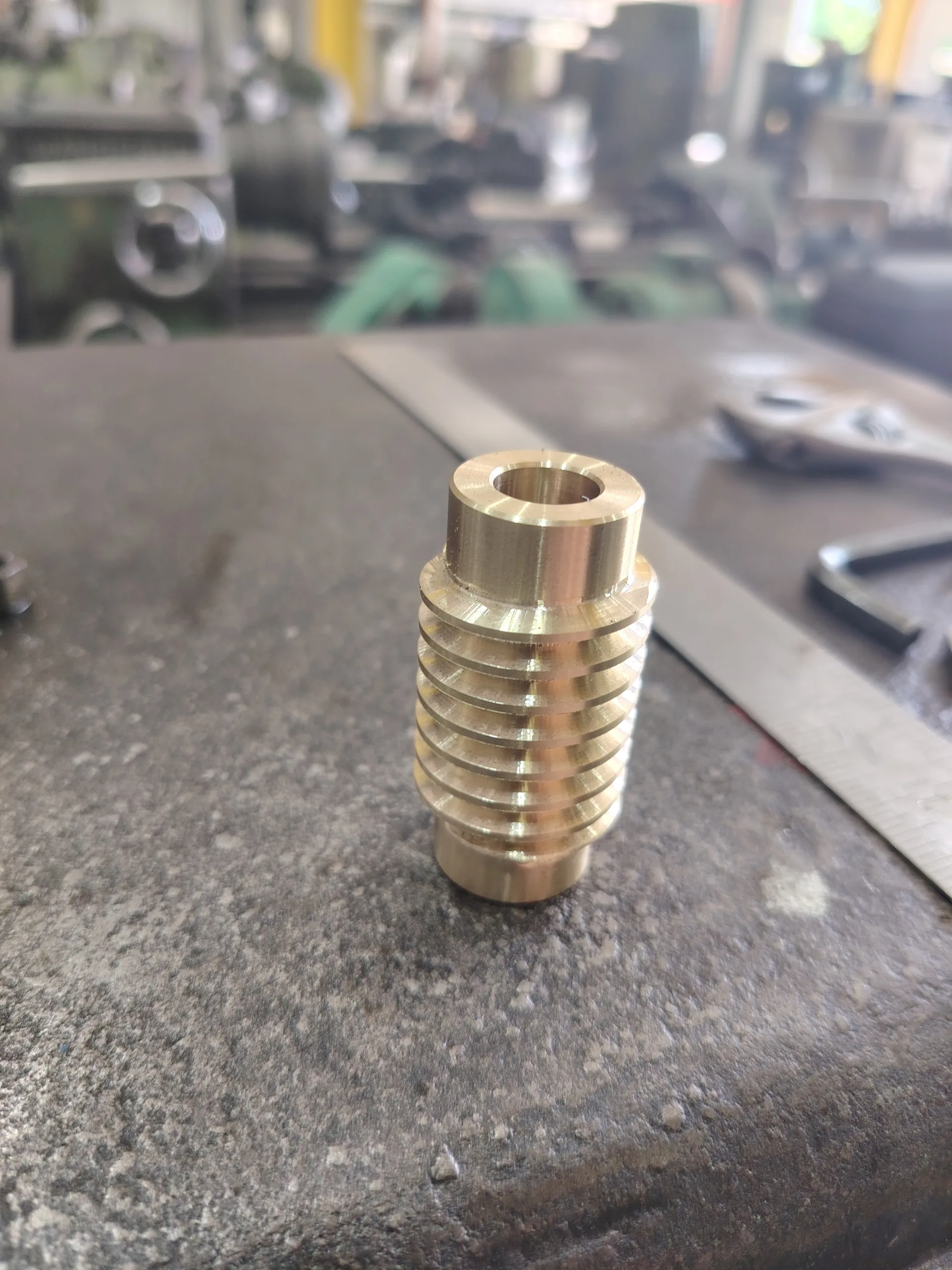 Worm Gear & Worm Screw
