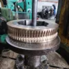Worm Gear & Worm Screw