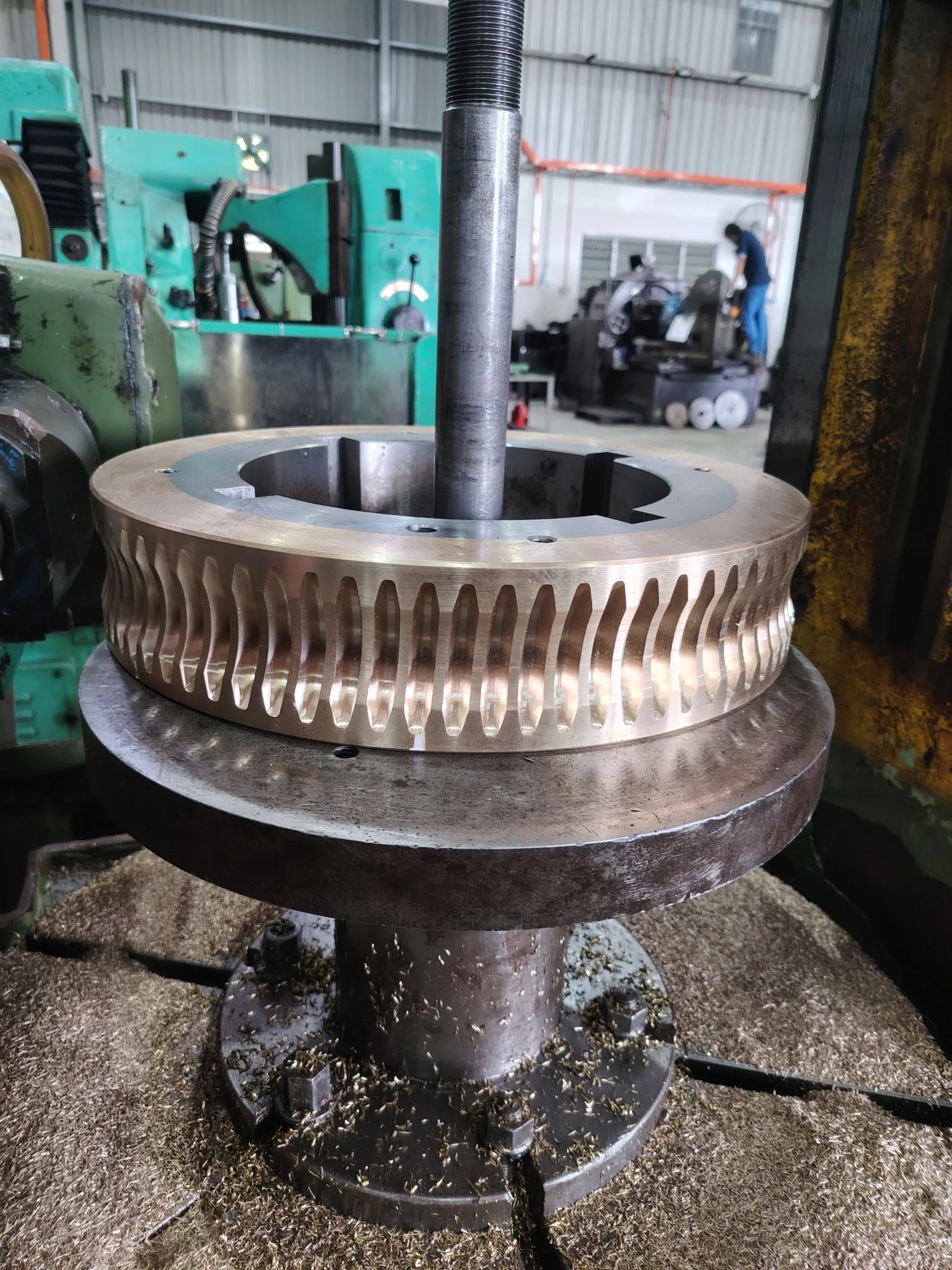 Worm Gear & Worm Screw