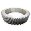Large-Scale Gear