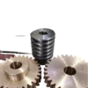 Worm Gear & Worm Screw