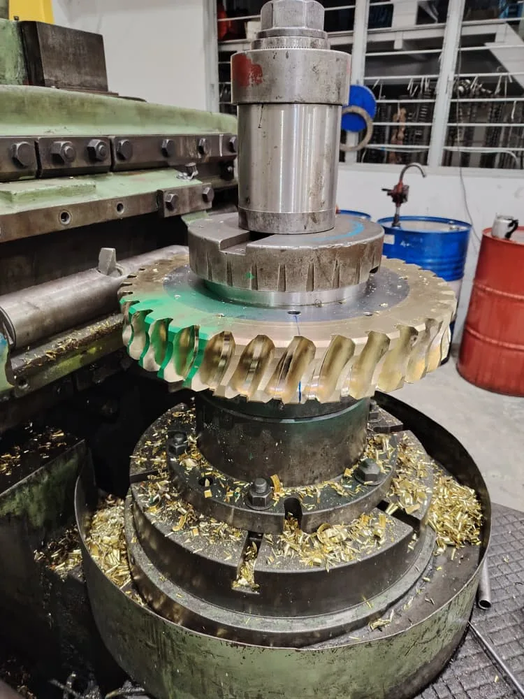 Worm Gear & Worm Screw